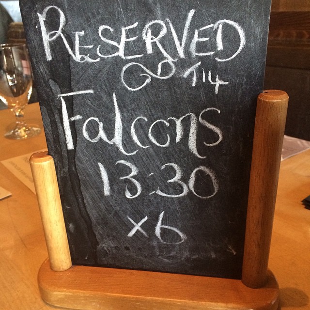 falcons