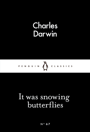 snowing-butterflies